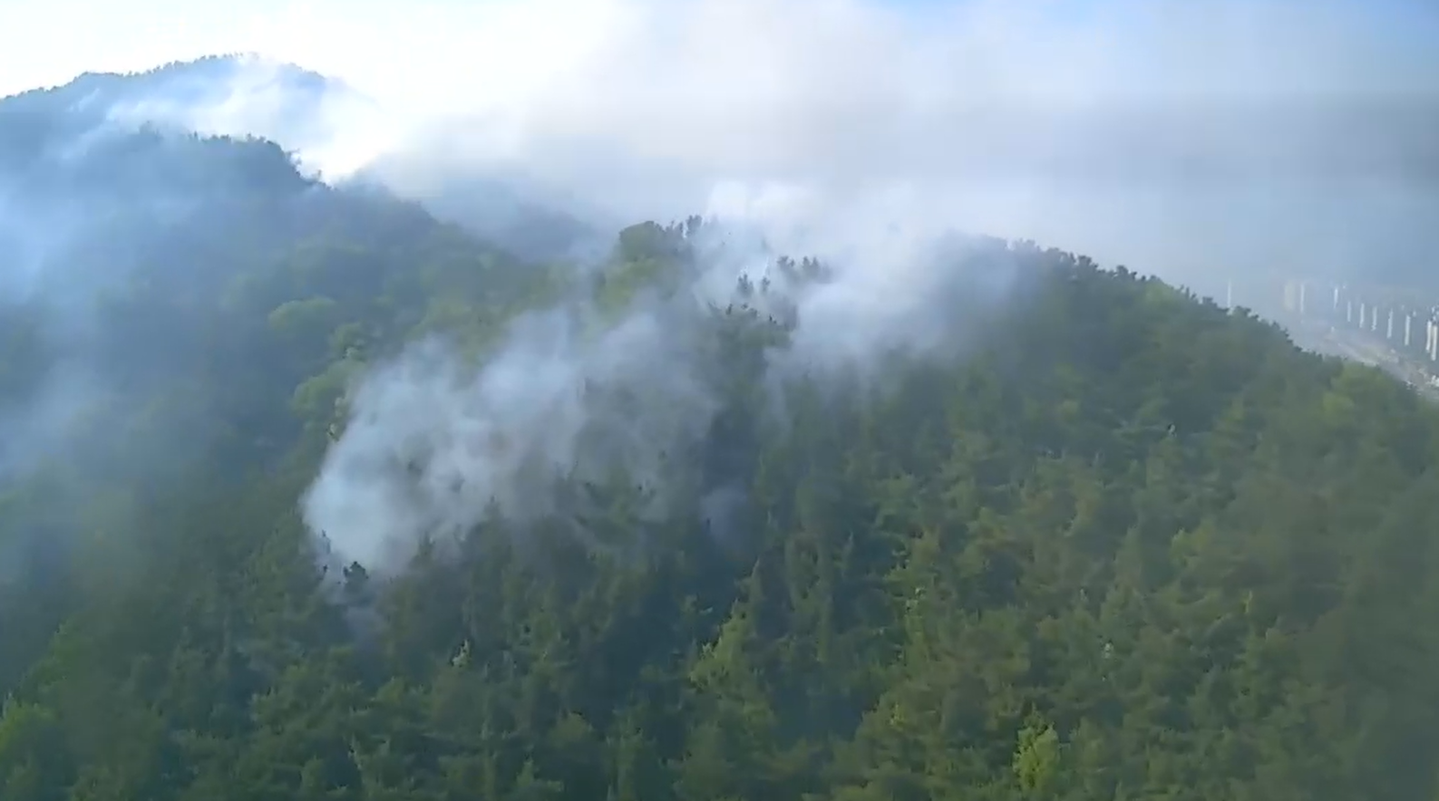 화면제공 산림청