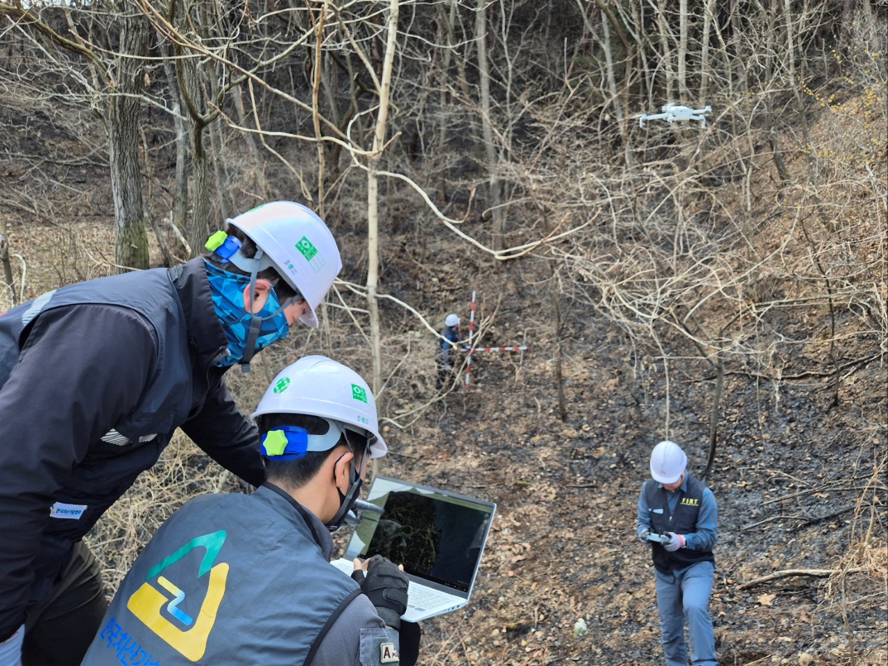 사진 제공 산림청