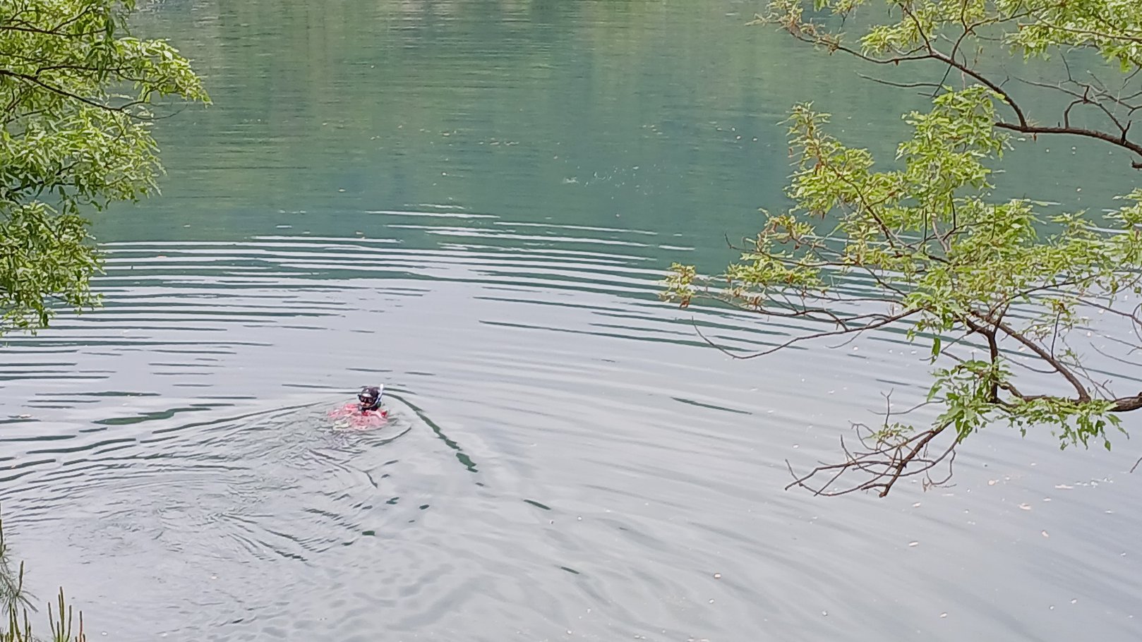 사진 제공 경북소방본부