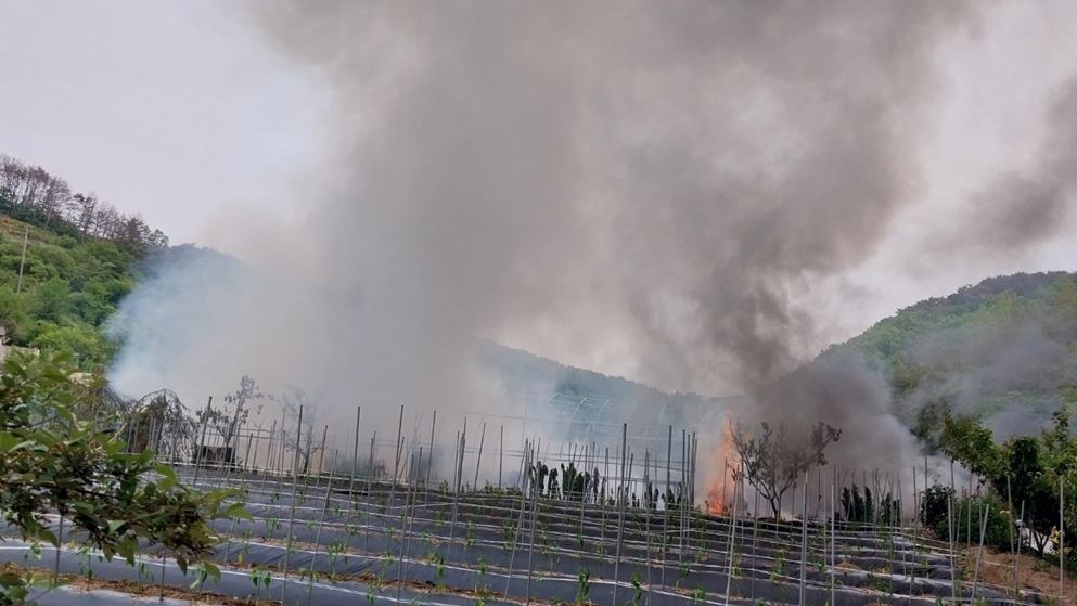 사진 제공 경북소방본부
