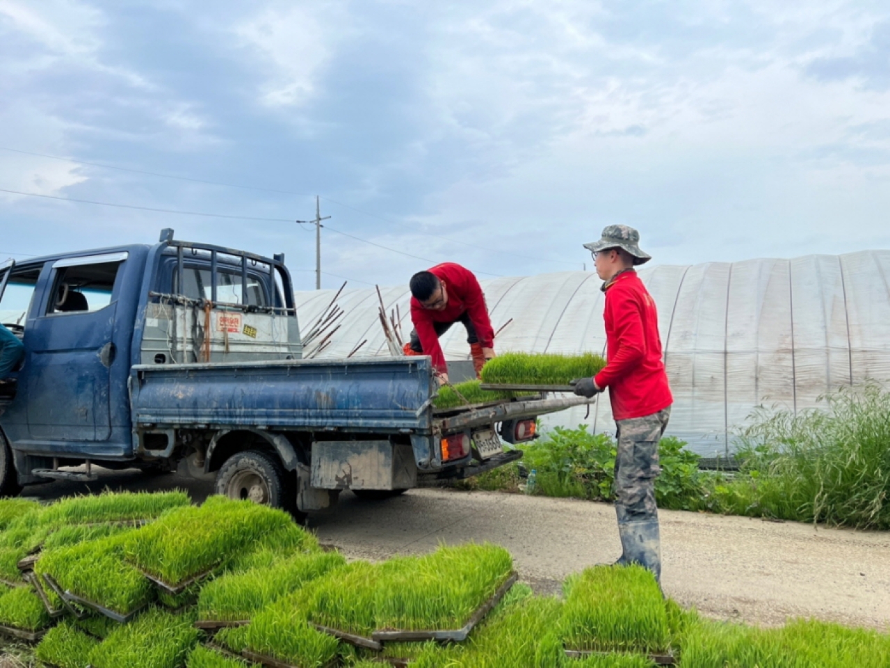 사진 제공 포항시