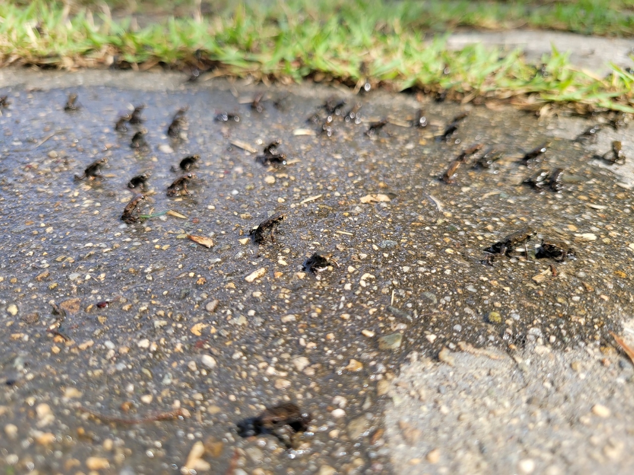 사진 제공 대구 수성구