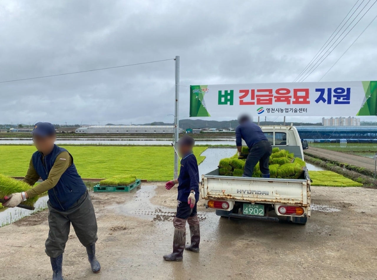 사진 제공 경북 영천시