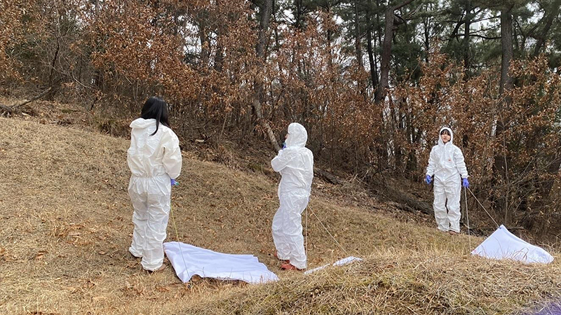 진드기 채집 대구시보건환경연구원 제공