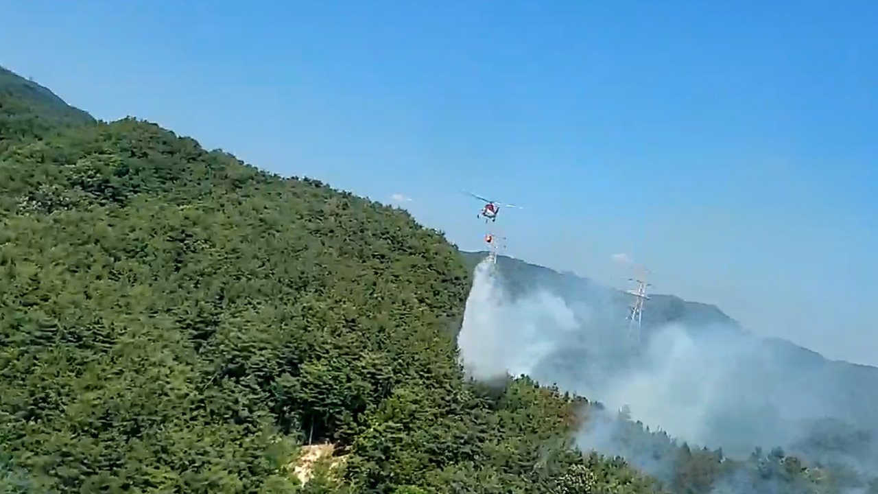 사진 제공 산림청