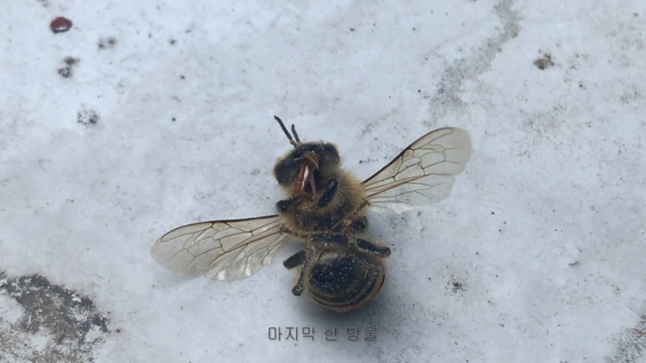 김희선 마지막 한 방울