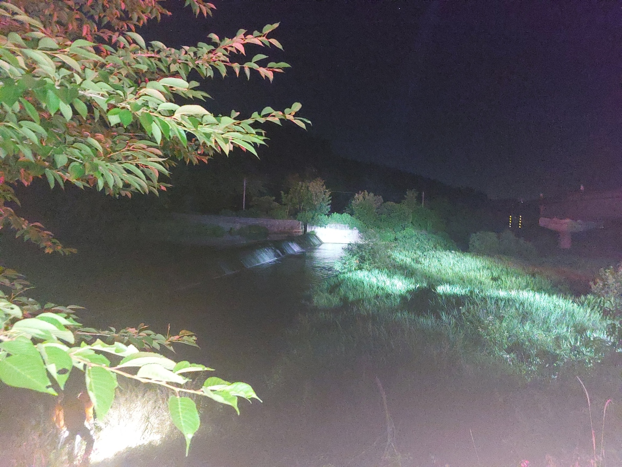 사진 제공 영천경찰서