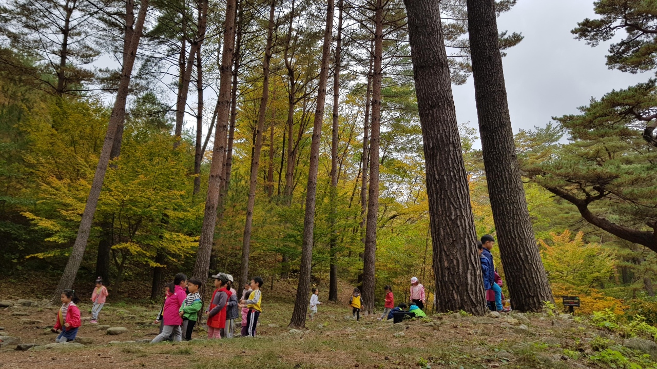 사진 제공 농림축산식품부