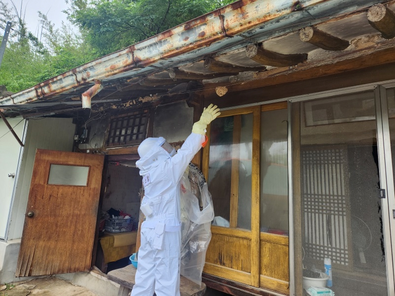 사진 제공 경북소방본부