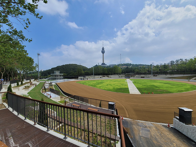 사진 제공 대구시