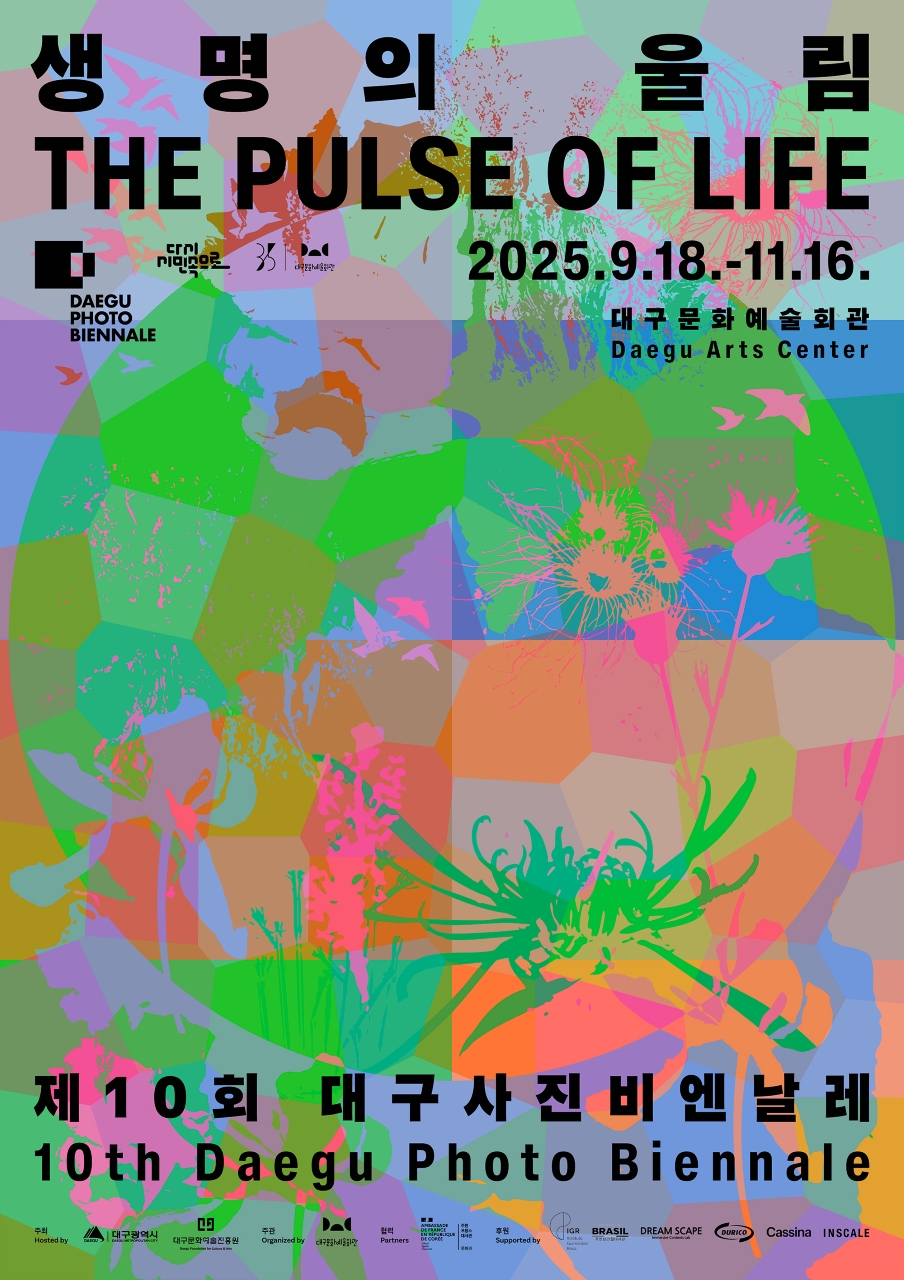 사진 제공 대구사진비엔날레