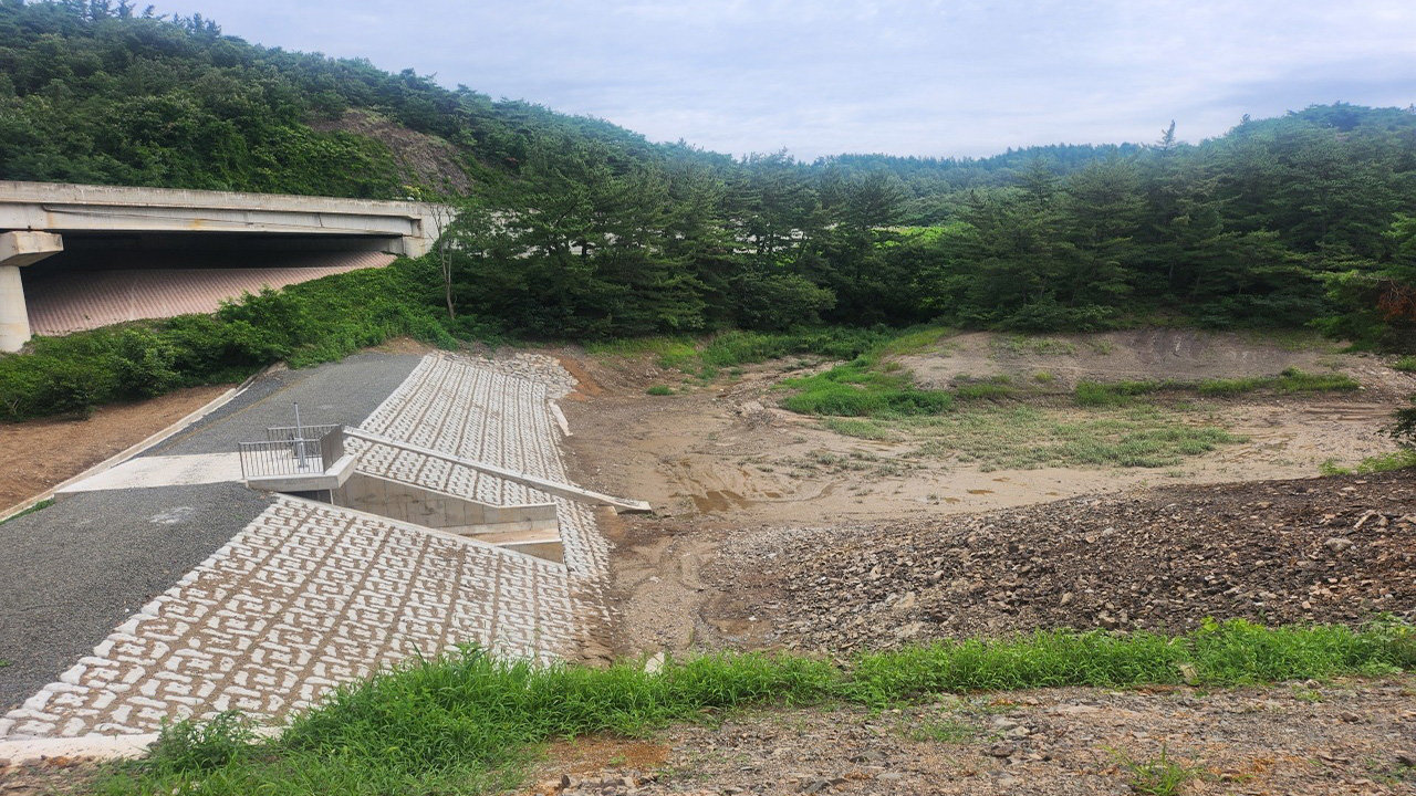 사진 제공 경북 영천시