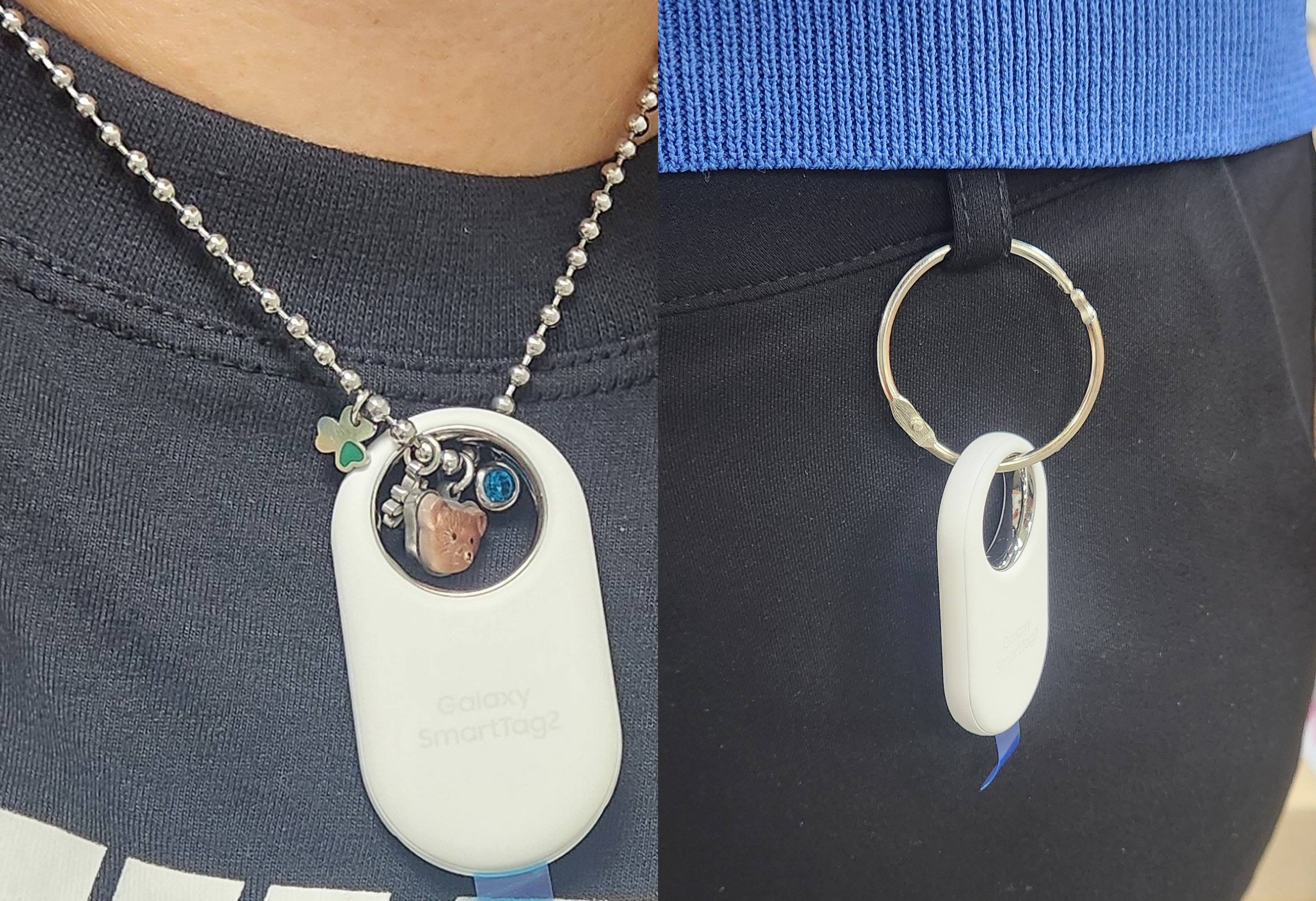 사진 제공 경북 영천시