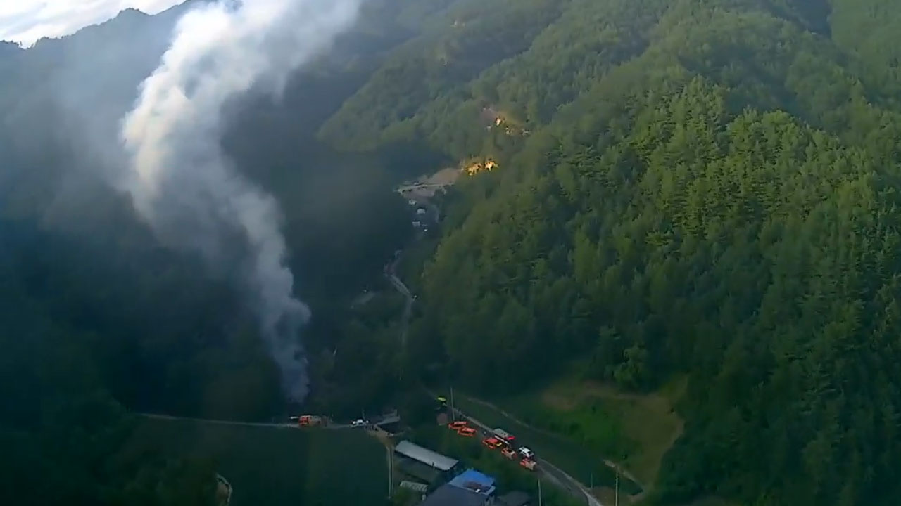 사진 제공 산림청