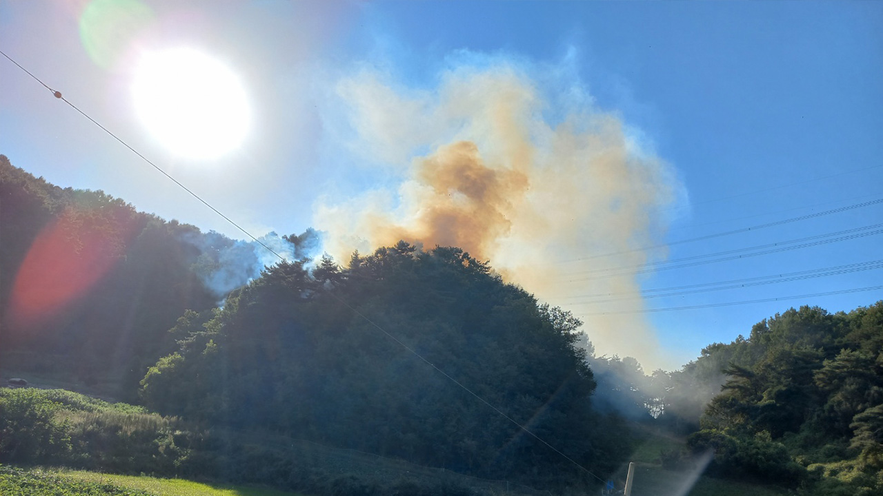 사진 제공 경북소방본부