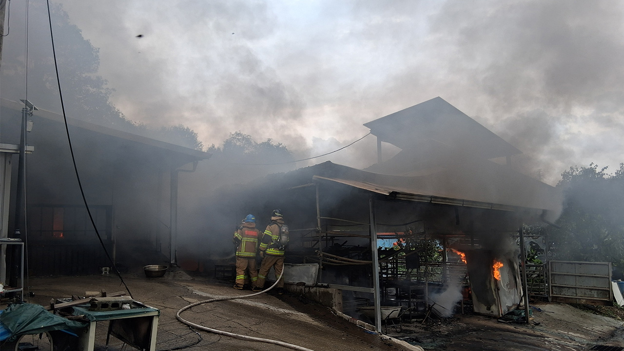 사진 제공 경북소방본부