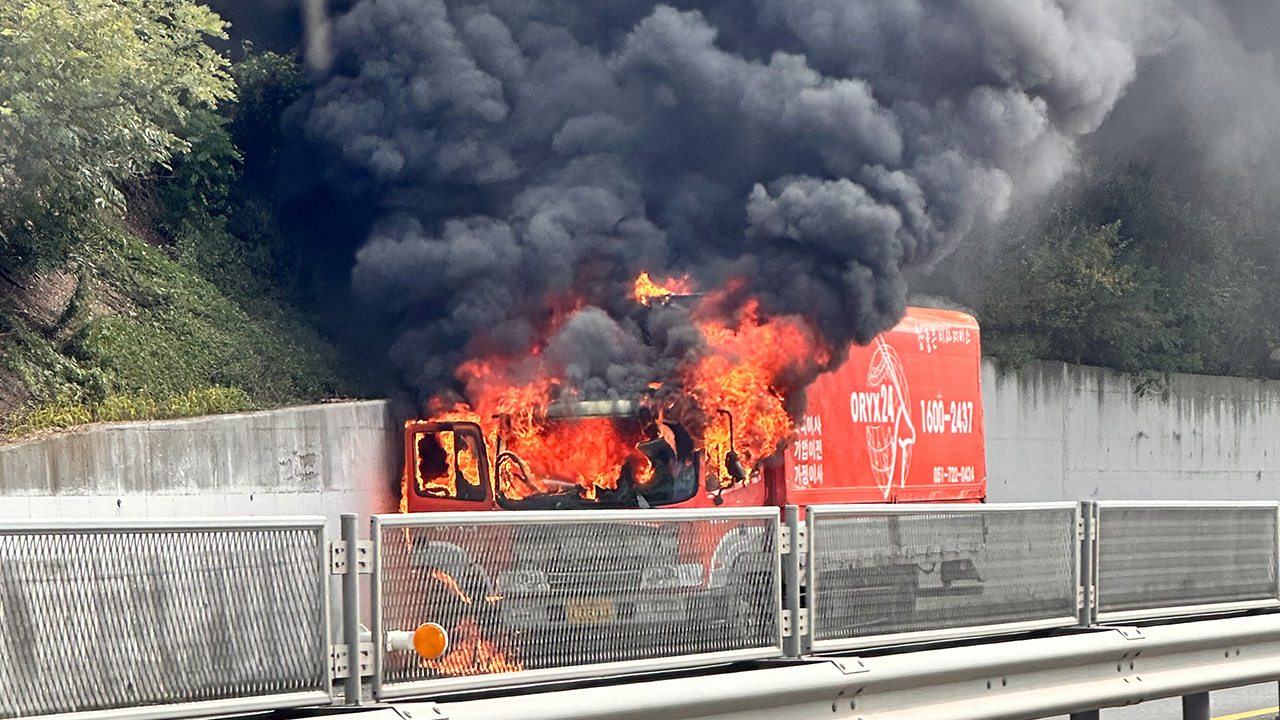 사진 제공 김태완