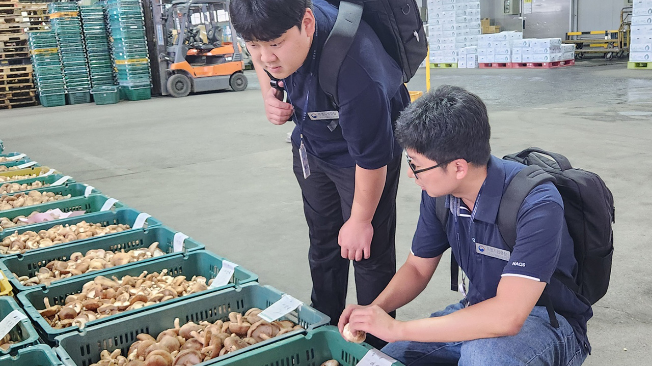 사진 제공 경북농관원