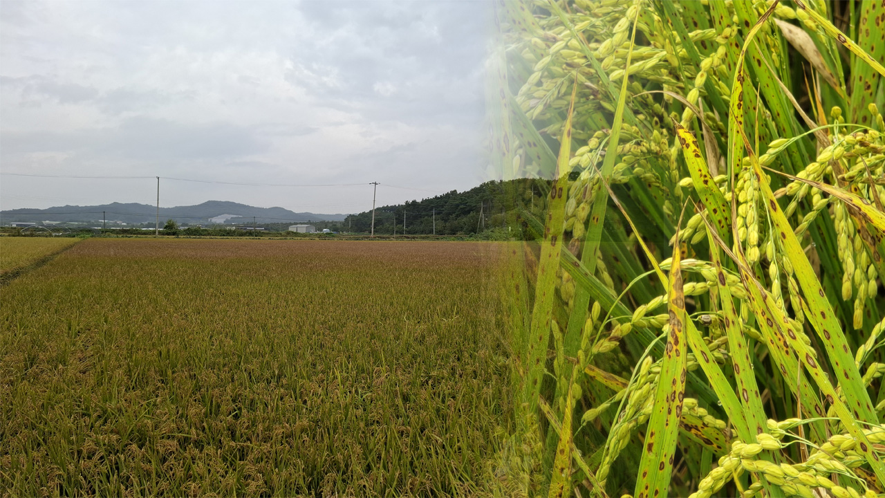 사진 제공 경북 구미시