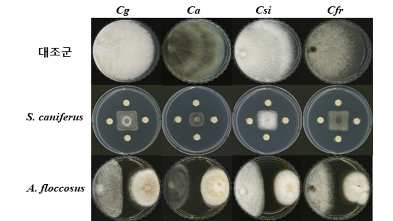 사진 제공 국립낙동강생물자원관