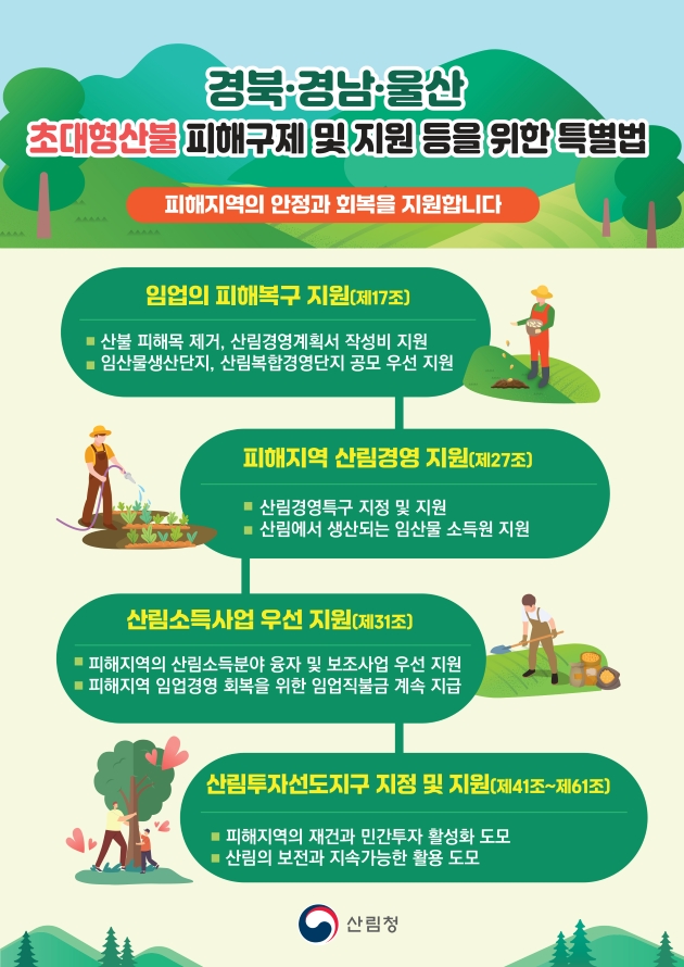 사진 제공 산림청