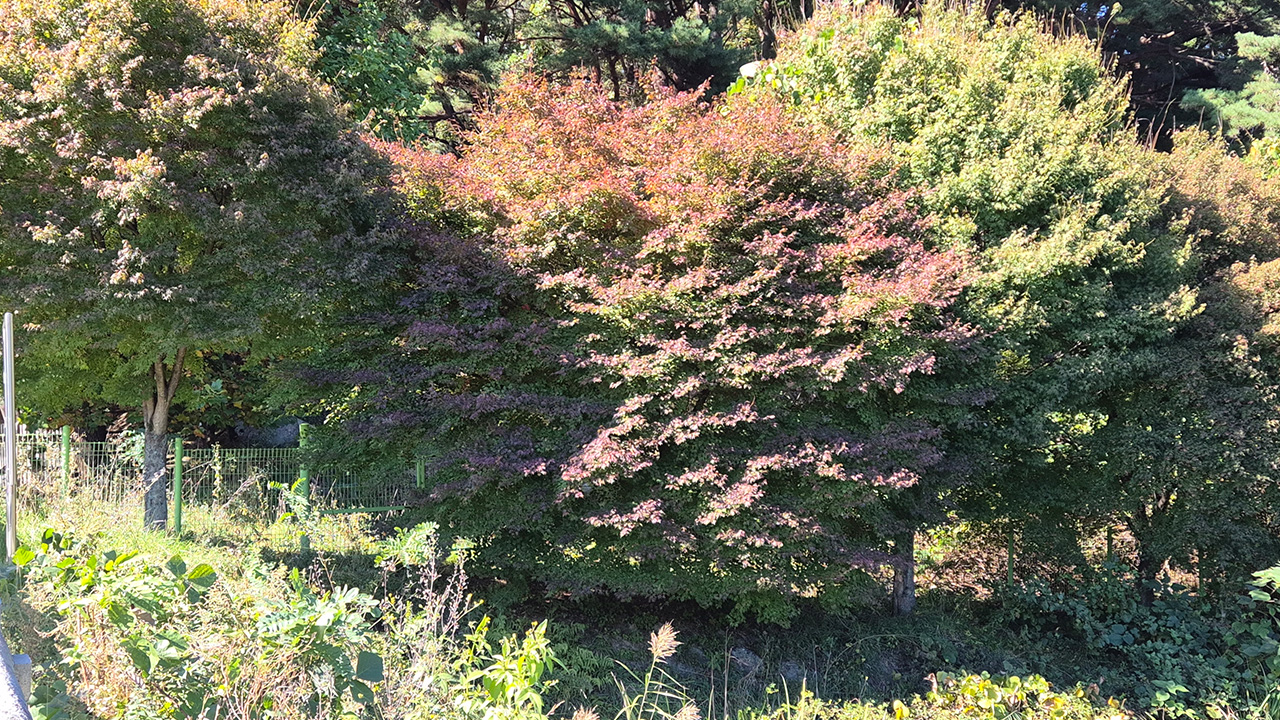사진 제공 기상청