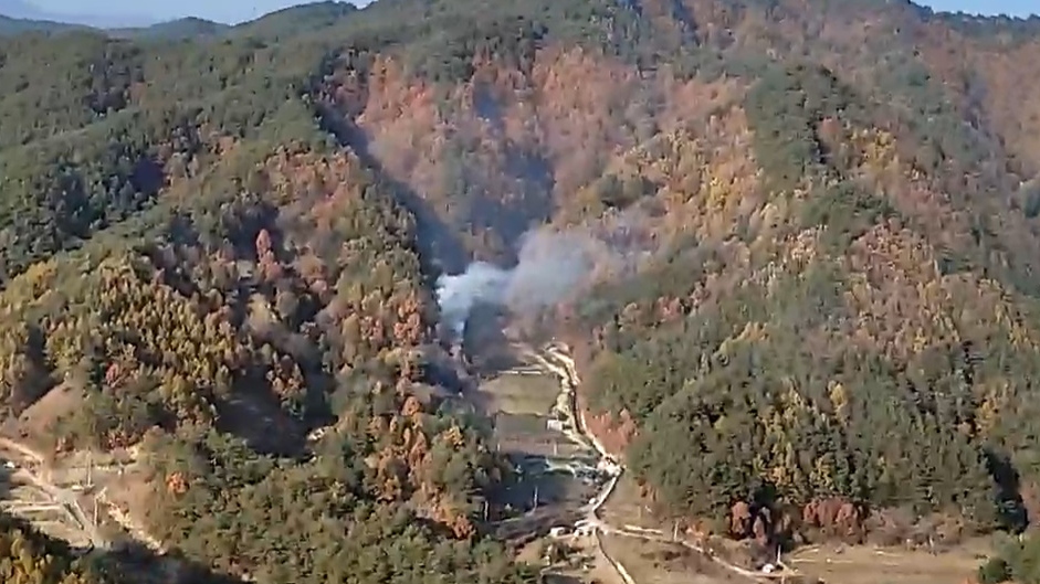 사진 제공 산림청