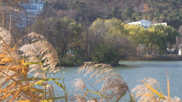 대구 낮 15도까지 올라 포근...한동안 포근하다 토요일 비 예상