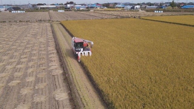 이번 주까지 '영농 부산물 일제 파쇄 주간'