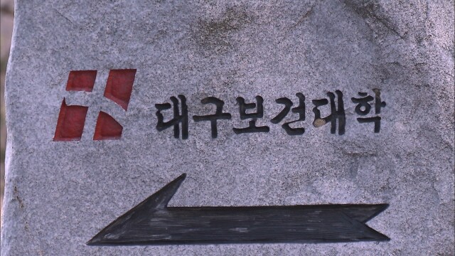 대구보건대, AI 기반 수업 설계 방안 '교수법 특강' 개최