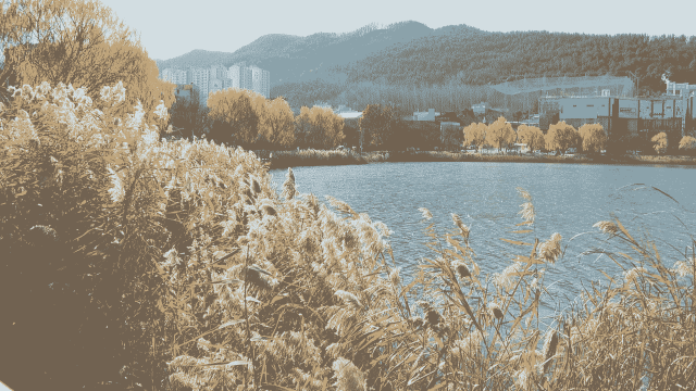 대구·경북 일요일까지 추워···월요일 낮부터 차차 풀려