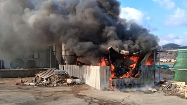 경북 성주군 돈사 화재···돼지 46마리 폐사