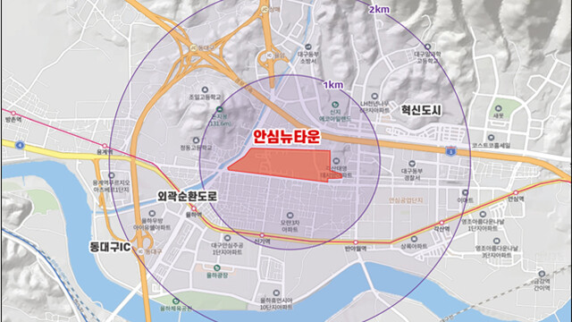 "이케아 빠진 자리에" 대구 안심 뉴타운에 ㈜신세계사이먼 아울렛 들어서···2028년 개장 목표