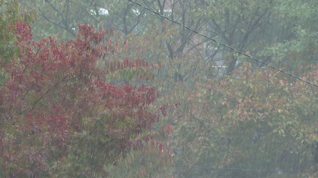 대구·경북 대체로 흐림···낮 최고 9~16도