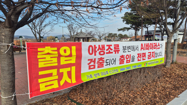 경북 구미 야생조류에서 고병원성 조류인플루엔자 검출