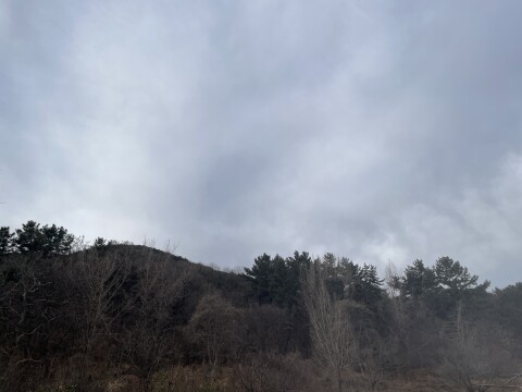 화요일 늦은 오후부터 수요일 아침까지 비···한파 다시 찾아와