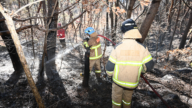 대구 군위 야산서 불···40여 분 만에 큰 불길 잡아