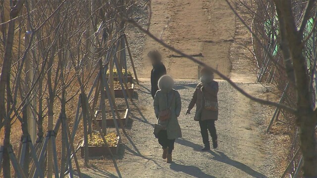 대구와 경북 맑고 전날과 비슷한 기온···수요일부터 맹추위