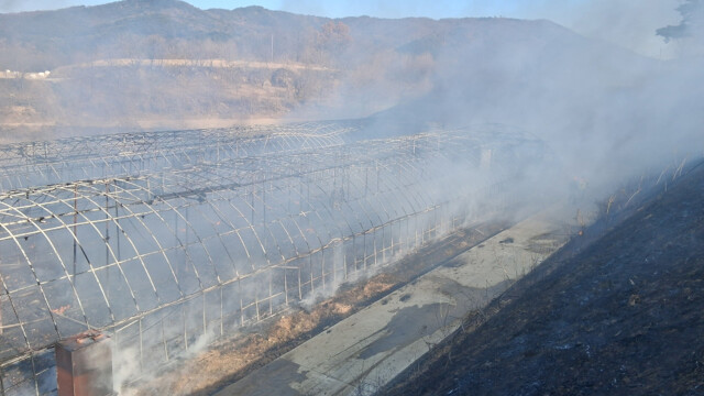 경북 예천서 산불···34분 만에 꺼져