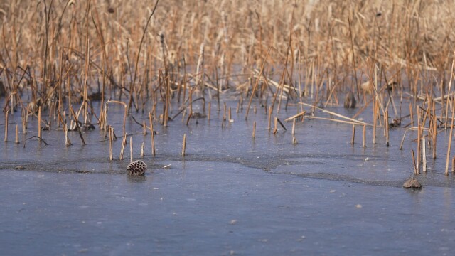 대구·경북 맑고 건조…낮 최고기온 2~8도 분포