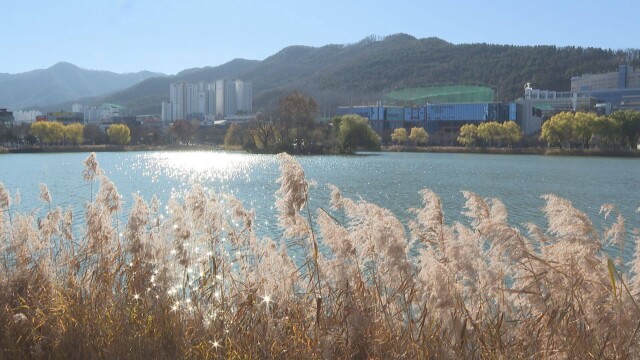 대구·경북, 추위 '주춤'···대기 '매우 건조'
