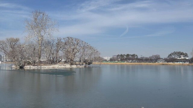 대구·경북 한파특보 발효 예정···대구 목요일 아침 -6도