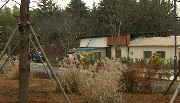 토요일 대구·경북 일부 지역 눈···대구 아침 기온 2도