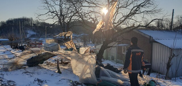 강풍 피해 출동 대구 49건, 경북 81건