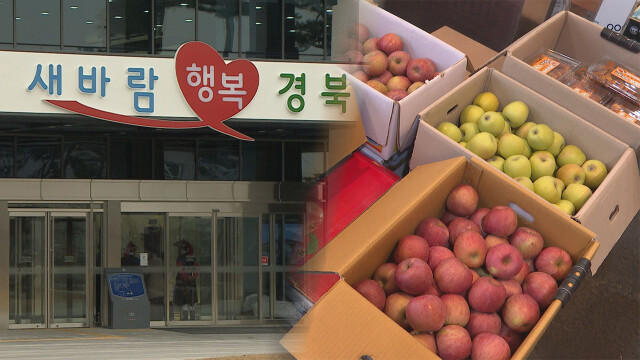 경상북도, 농산물 산지유통센터(APC)에 AI 선별기 도입 확대