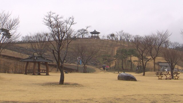 대구·경북 낮 최고 2~8도…대기 건조