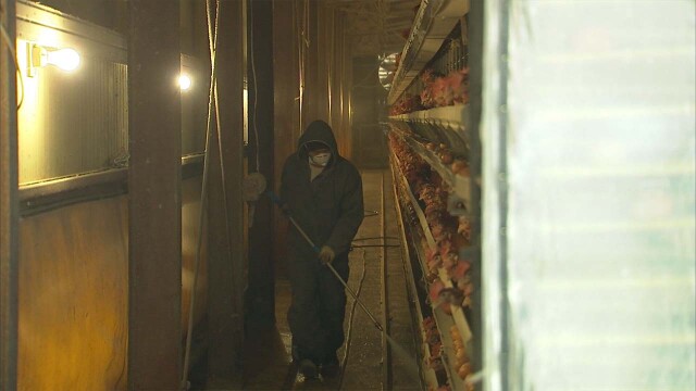 '고병원성 AI 방역' 경북 등 9곳 재난안전특교세 30억