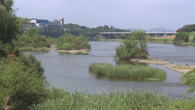 낙동강유역물관리위원회, 안동댐 재검토 의결