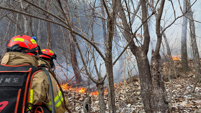 경북, 2025년 화재로 1조 1,600억 원 피해···"초대형 산불 원인"
