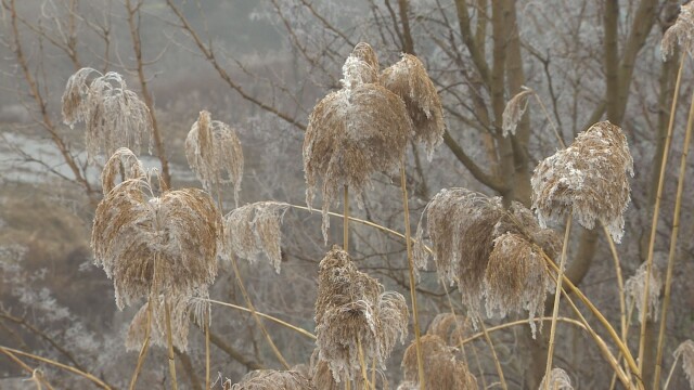 대구·경북 대부분 한파·건조특보‥종일 강추위
